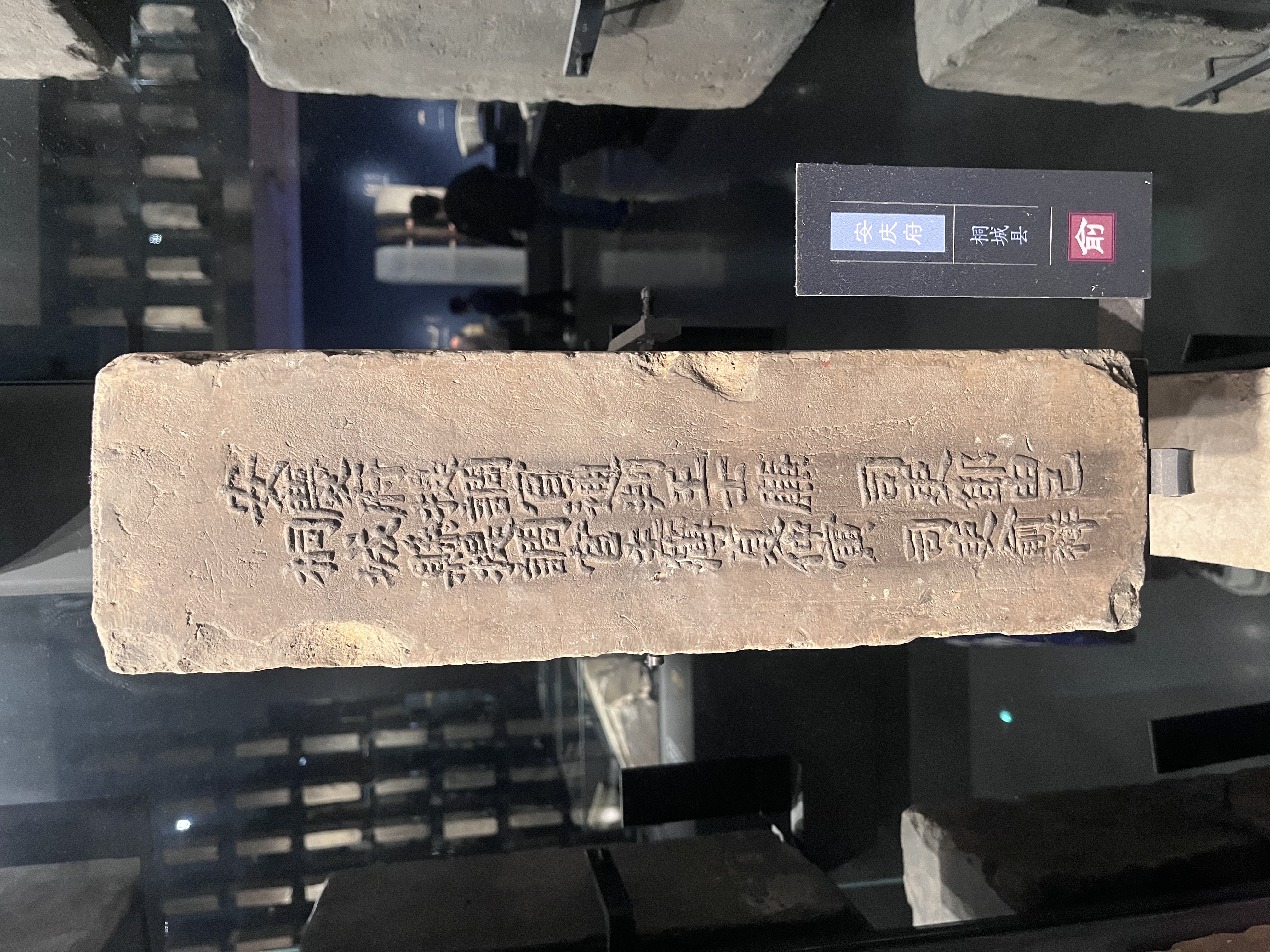 伊丽莎白雅顿金胶面部精华液28ml约60粒修护神经酰胺补水保湿七夕情人节礼物 实拍图