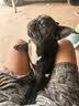 海洋之星狗粮低温烘焙粮成犬幼犬小中大型犬粮比熊鲜肉粮6kg鸡肉三文鱼 实拍图