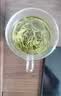 乐品乐茶茶叶茉莉绿茶袋泡茶特级茉莉花茶包饮品自己喝冷泡茶试喝装3g 实拍图