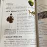 大中华寻宝记系列·儿童中国地理科普知识百科漫画书（17-20册套装共4本）（广东/辽宁/香港/贵州）儿童科普人文地理科普漫画小学生课外阅读 寻宝记一升二暑假衔接小升初儿童礼物京东自营正版 实拍图