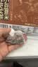 艺佰赤小豆薏米苦荞茯苓茶包10g*30包健炒熟脾袪排养生湿气重泡水喝 实拍图
