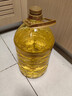 金龙鱼 食用油 非转基因 物理压榨玉米油6.18L（蕴含植物甾醇） 实拍图