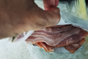 荷美尔（Hormel）经典美式特级培根150g /袋 0淀粉添加培根片 早餐火锅烧烤西餐 实拍图