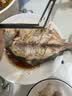 仙泉湖冷冻三去白蕉海鲈鱼700g/袋(2条装)肉厚刺少水产生鲜食材 实拍图