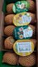 佳沛（zespri）新西兰阳光金奇异果10粒巨大果单果146-175g 猕猴桃水果礼盒 实拍图