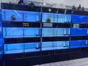 美的（Midea）电磁炉圆形无名火厨房家用多功能大功率 爆炒火锅炒菜蒸煮烧水 旋钮操控 C22-RX22H0107 实拍图