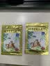 羚锐两只老虎 壮骨麝香止痛膏10贴 祛风湿 活血止痛 用于风湿关节痛 肌肉痛 扭伤 膏药贴 实拍图