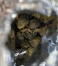 南同四海胎菊搭胎菊中药材桐乡正特品级无黄菊花茶硫火热一等品护肝熏火去 实拍图