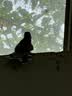一途广汽本田XRV/缤智专用无骨雨刮器本田XR-V雨刷本田缤智雨刮片原厂原车尺寸汽车雨刷器（1对装）A级胶条 实拍图