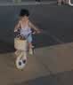 凤凰（Phoenix）儿童自行车3-4-6-10岁宝宝脚踏车男孩女孩童车折叠单车 仰望樱花粉+一体轮-带后座款 12寸（建议身高90-110cm） 实拍图