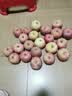 东北新鲜小国光苹果正宗老树国光苹果酸甜当季孕妇水果5/10斤包邮 9-9.5斤小果（带箱） 晒单实拍图
