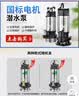名磊不锈钢潜水泵220v农用污水泵小型排污泵家用抽水泵井水潜水泵 2寸750W10米线污水浮球款 实拍图