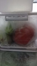 佳帮手冰箱收纳盒保鲜盒食品级密封大容量水果蔬菜鸡蛋泡菜盒7.5L2只装 实拍图
