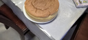 海氏（Hauswirt）C40三代电烤箱家用专业烘焙搪瓷内胆多功能大容量发酵一体机侧风机上色均匀七夕礼物 湖水绿 40L 实拍图