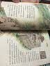 【央视网出品】时光学暑假阅读推荐红军不怕远征难+不到长城非好汉全2本 红色精神趣读长城漫画中国孩子的文化自信走进国家文化传承民族脊梁 实拍图