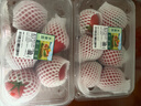【水果菜】童年味道西红柿约1kg 实拍图