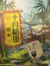 十月稻田 糙米 2斤 低脂粗粮 杂粮米新米 保留胚芽 粥米 全谷物 实拍图