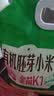美农哥有机胚芽黄小米5斤金苗K1优质农家当季新米米油浓厚五谷杂粮早餐 实拍图