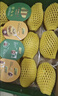 佳沛（zespri）新西兰 阳光金果18粒超大果原箱单果175-204g 猕猴桃水果礼盒 实拍图