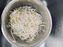 有机绿豆芽200g(原芽整根) 实拍图