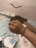 Colaivkloia满天星戒指女玫瑰金色对戒情侣戒指时尚指环七夕情人节生日礼物送 Tk0326新玫瑰金色满天星 美码7号 实拍图