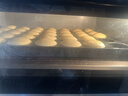 志高（CHIGO）商用烤箱电烤箱商用大型专业烤炉蛋糕面包月饼披萨烘炉焗炉烘培专用设备 一层一盘烤箱(220V/4KW) 实拍图