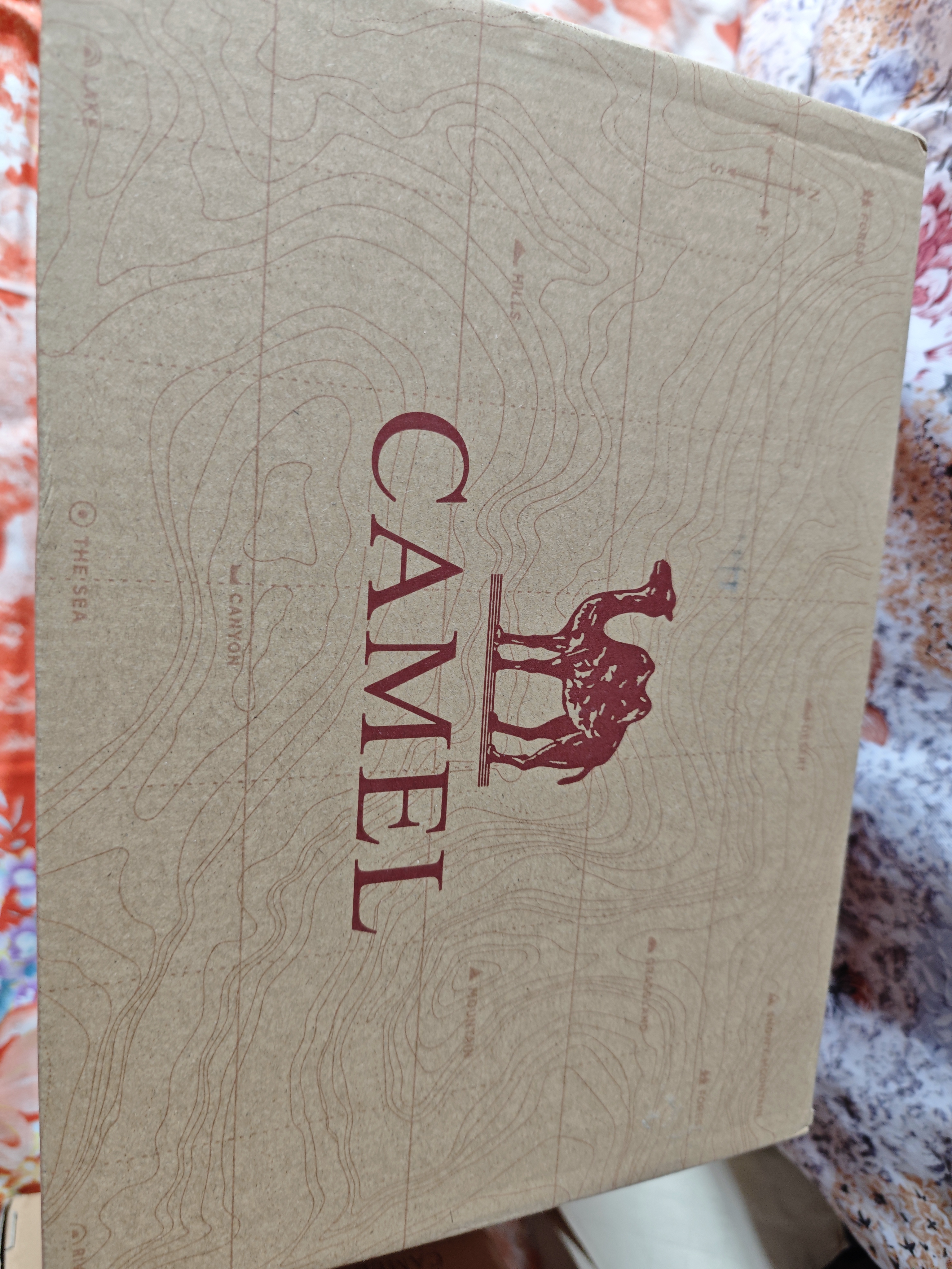 骆驼（CAMEL）运动鞋夏季新款女鞋网面透气洞洞鞋防滑耐磨妈妈老人休闲运动鞋子 实拍图