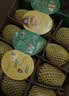 佳沛（zespri）新西兰阳光金果4粒装单果约103-114g 猕猴桃新鲜水果源头直发 实拍图