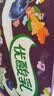 伊利【时代少年团同款】优酸乳蓝莓味250ml*24盒乳饮料新老包装随机发 实拍图