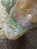 金龙鱼 食用油 非转基因 压榨 一级 纯正玉米油4L（新老包装随机发货） 实拍图