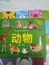 撕不烂早教翻翻卡片中英双语全套6册官方正版童书 0到1一3岁宝宝启蒙认知绘本2岁 一岁半两岁宝宝书籍婴儿图书幼儿童启蒙益智早教水果蔬菜颜色动物看图识物玩具书 阳光宝贝好宝宝学习起步书认物卡京东 实拍图