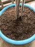 德沃多植物营养土通用15L园艺养花土种菜有机土壤盆栽种植土多肉 实拍图