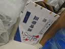 蓝带（Blue Ribbon）（2000）8度易拉罐500纸箱1*12听整箱装 实拍图