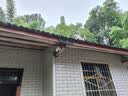 霸天安4g太阳能摄像头终身免流量AI室外免插电无电无网手机远程户外监控器家用360度无死角高清全景夜视 实拍图