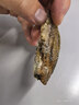 三只松鼠原味黄鱼酥250g  吮指香酥小黄鱼海味休闲追剧零食小吃 实拍图