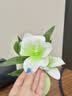 范爷家小清新仿真花摆件带花瓶百合花套装绿植拍照道具客厅餐桌卧室装饰 实拍图