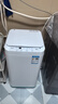 美的（Midea）波轮洗衣机全自动 3KG 迷你内衣婴儿洗衣机 健康除螨 MB30V21EPLUS 以旧换新 京东自营 实拍图