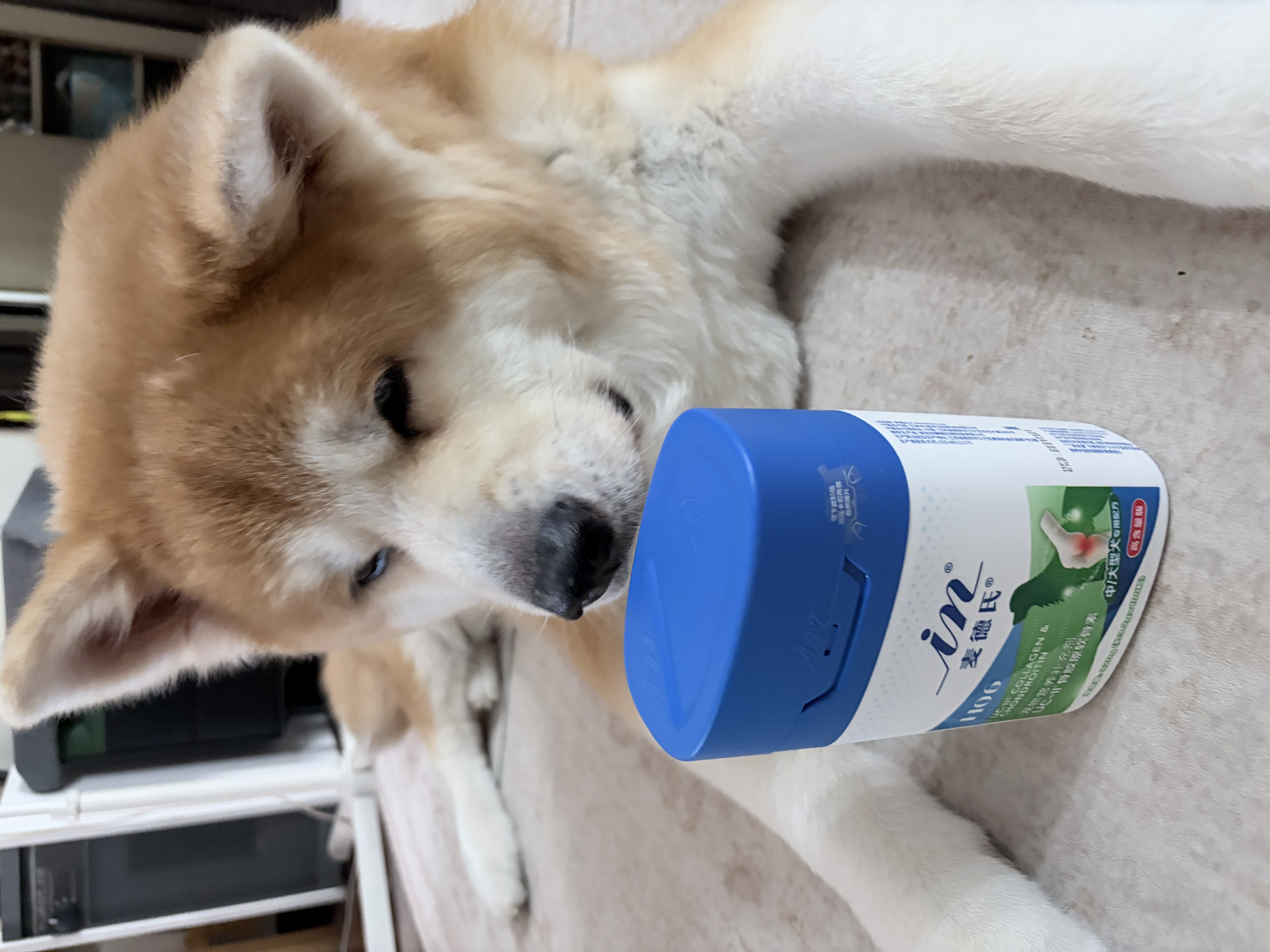 麦德氏IN中大犬UC-II骨胶原软骨素狗狗宠物鲨鱼软骨素关节养护320g*2 实拍图