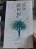 白色橄榄树 玖月晞新书 套装两册【赠胶片剪影卡】新增环衬+精美彩插  另著少年的你如此美丽 实拍图