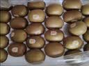 佳沛（zespri）新西兰 阳光金奇异果30-33粒原箱单果103-124g 猕猴桃水果礼盒 实拍图