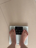 匹克（PEAK）四轮健腹轮自动回弹肘撑跪垫带辅助卷腹肌轮收腹瘦肚健身器材家用 实拍图