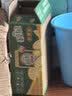 屈臣氏（Watsons）碧泉柠檬茶  地道港式柠檬茶 好喝不涩 【新品锡兰茶底】柠檬茶190ml*12 实拍图
