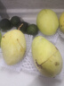 元珍鲜诚 攀枝花凯特芒甜心芒果当季直采芒果新鲜水果整箱送礼 含箱5斤净重4.5斤（300-650g） 实拍图