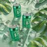 雪花啤酒(Snowbeer)晶粹 330ml*24听 新鲜拉格清爽口感 自营热销 实拍图