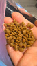 皇家猫粮 幼猫奶糕 幼猫猫粮 BK34 通用粮 1-4月 2KG 实拍图