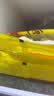 湾仔码头三鲜水饺1320g66只饺子速食面点饺子夜宵儿童早餐速冻半成品 实拍图