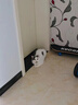 伟嘉成猫猫粮3.6kg海洋鱼味布偶夹心粮【原料透明】 实拍图