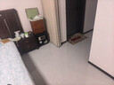 京东家政 【2小时保洁单次服务】家政保洁上门服务 京东保洁家庭清洁 适用面积＜55平米 实拍图