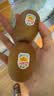 佳沛（zespri）新西兰阳光金果10个装单果重约103-114g 水果礼盒 猕猴桃 实拍图