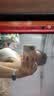 帛芮运动内衣女跑步防震防下垂瑜伽上衣健身训练背心外穿内搭一体文胸 实拍图
